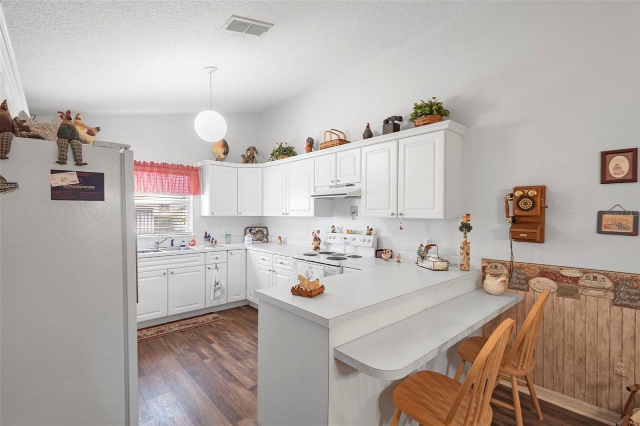 10320 Bumblebee Lane, Leesburg, FL 34788 Photo