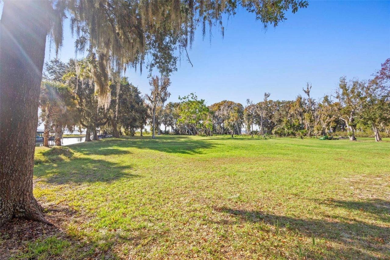 10320 Bumblebee Lane, Leesburg, FL 34788 Photo