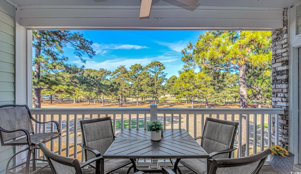 4647 Wild Iris Dr. Photo 23