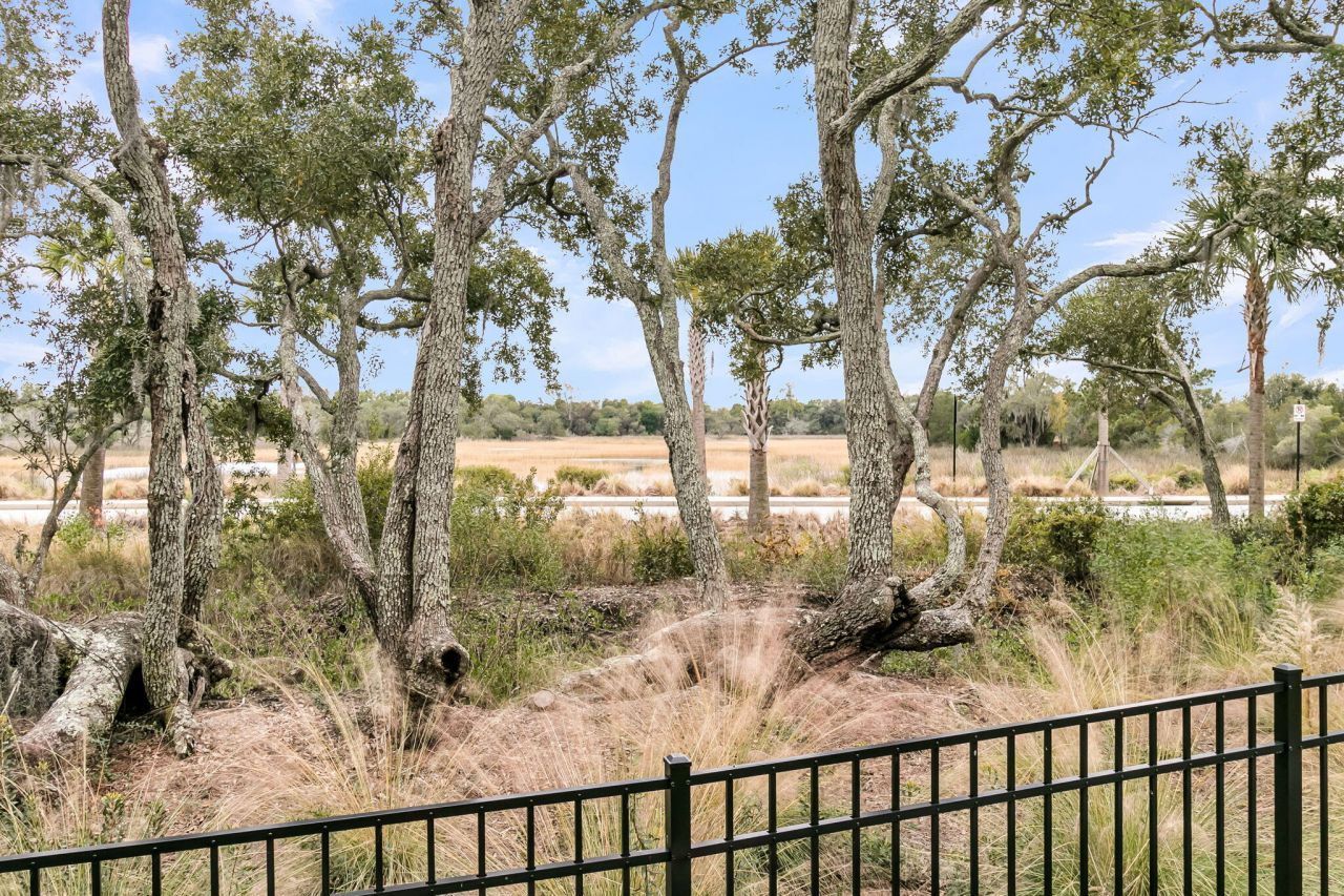 1970 Bellona Street Photo 68