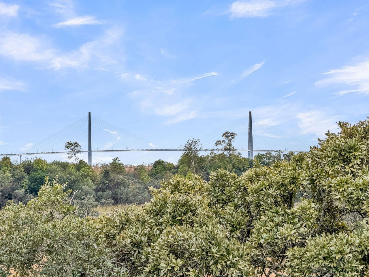 1970 Bellona Street Photo 74