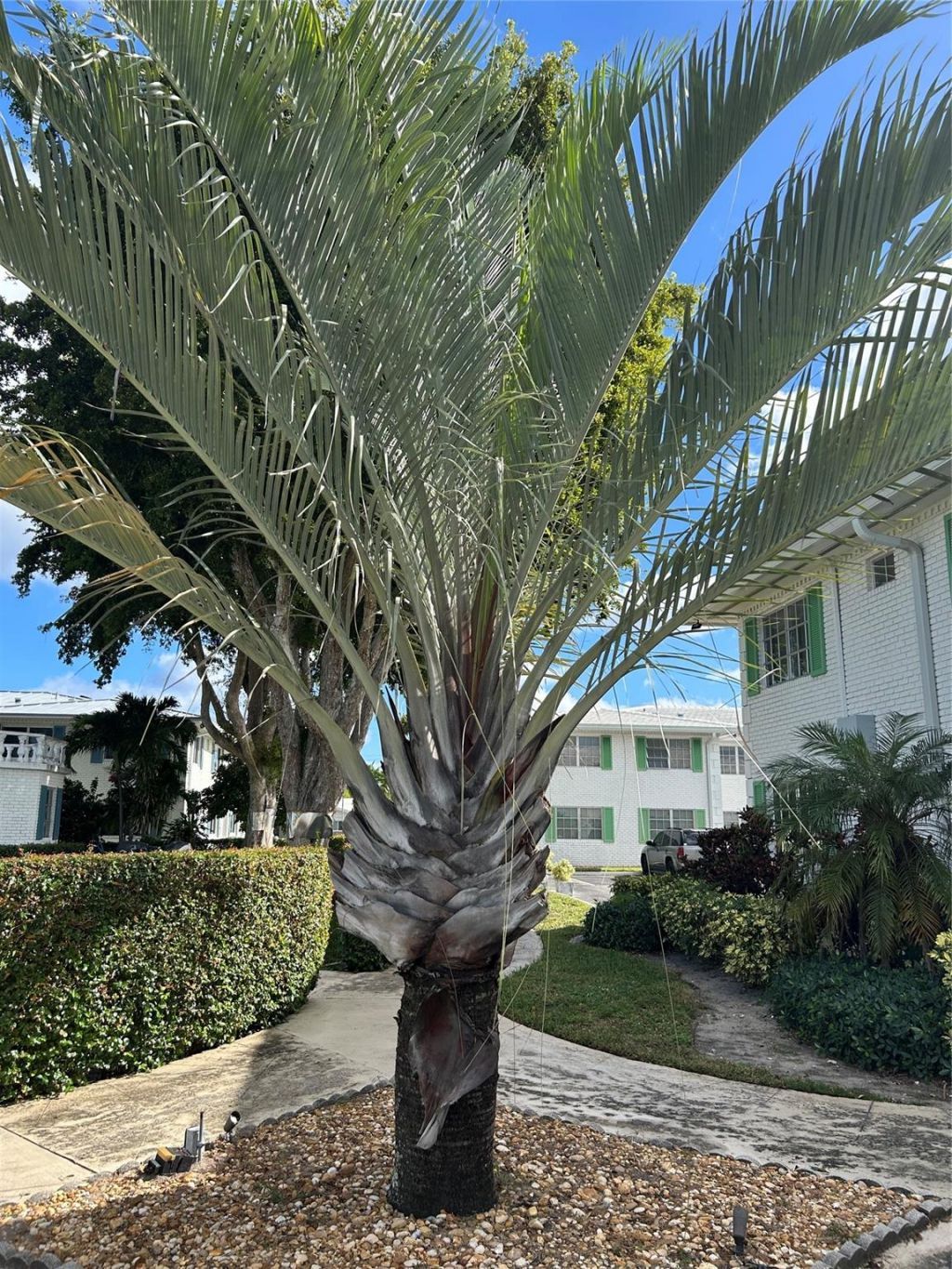 6260 NE 18th Avenue, Unit 722, Fort Lauderdale, FL 33334 Photo