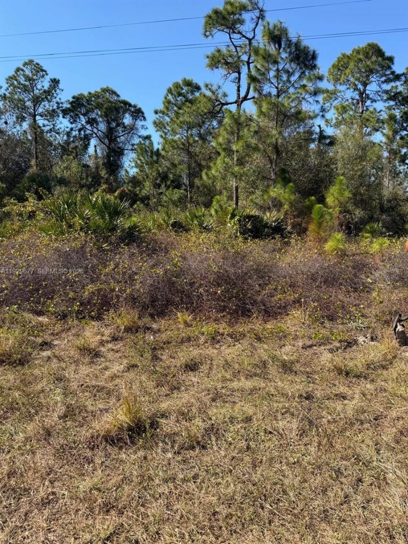 216 Columbus Blvd, Lehigh Acres, FL 33974 Photo