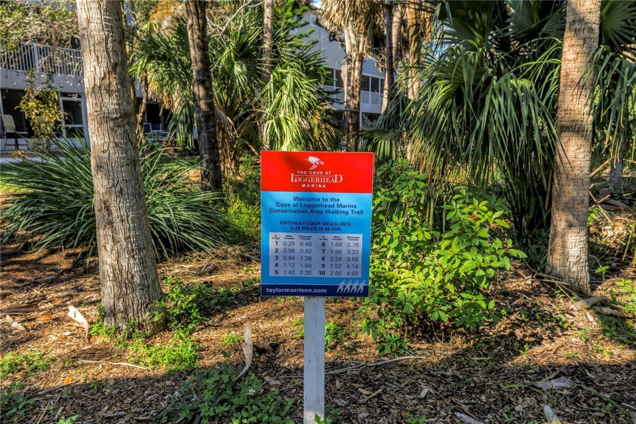 5930 Anchorage Way S, Saint Petersburg, FL 33712 Photo