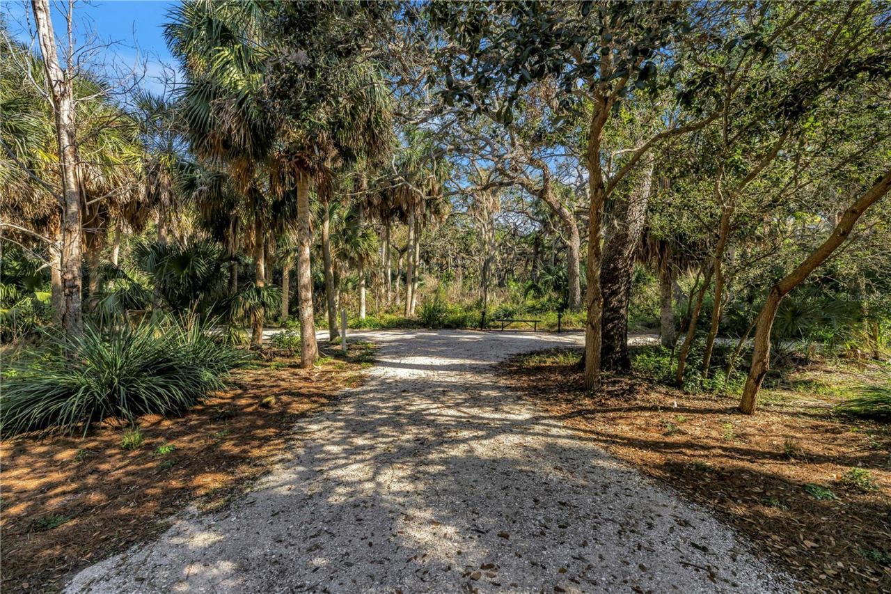 5930 Anchorage Way S, Saint Petersburg, FL 33712 Photo