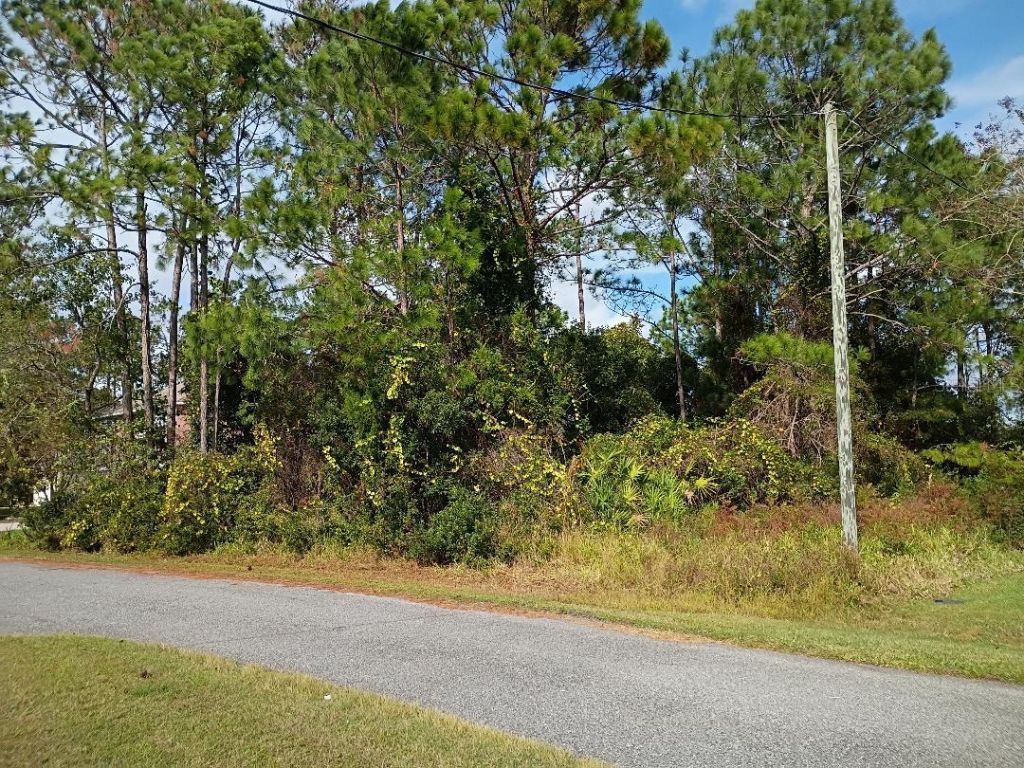36 Buffalo Meadow Ln, Palm Coast, FL 32137 Main Photo