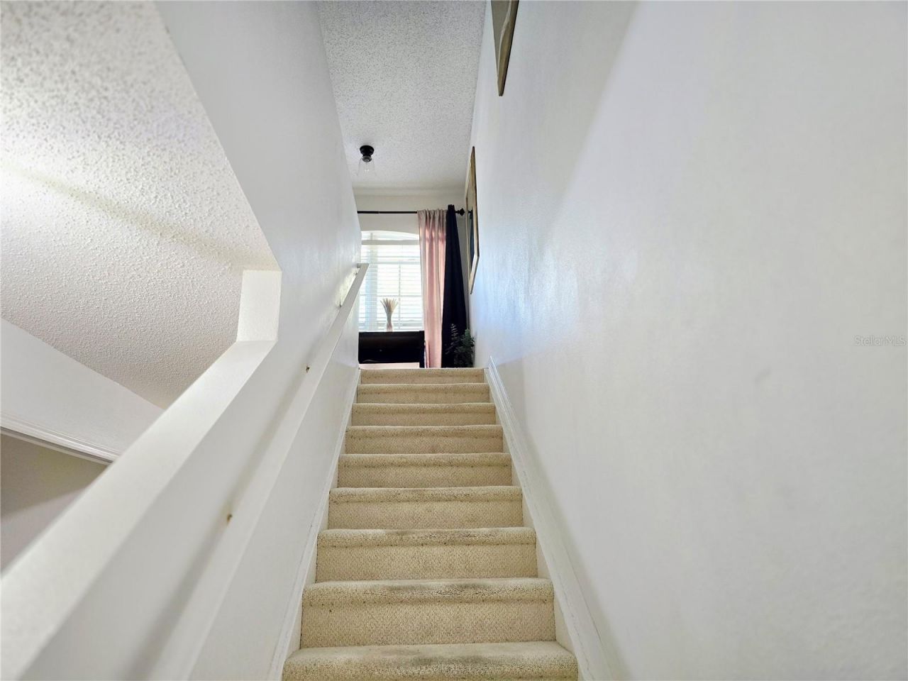 4607 Ashburn Square Drive, Tampa, FL 33610 Photo