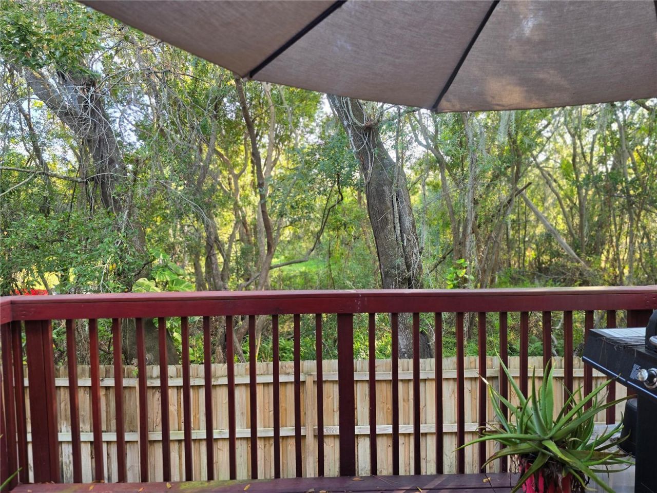 4607 Ashburn Square Drive, Tampa, FL 33610 Photo