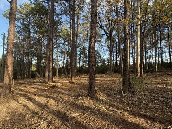 TBD MS-48, Sandy Hook, MS 39478