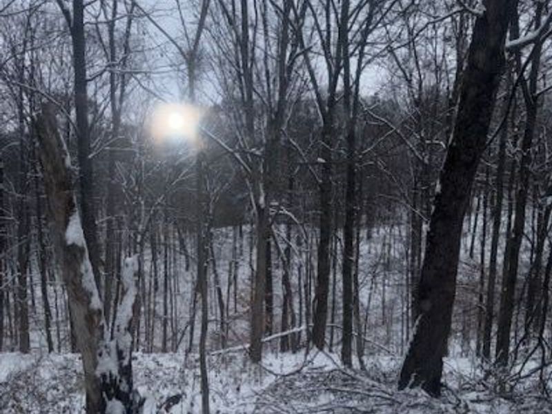 15639 SE Grove Road SE, Port Washington, OH 43837 Photo 14