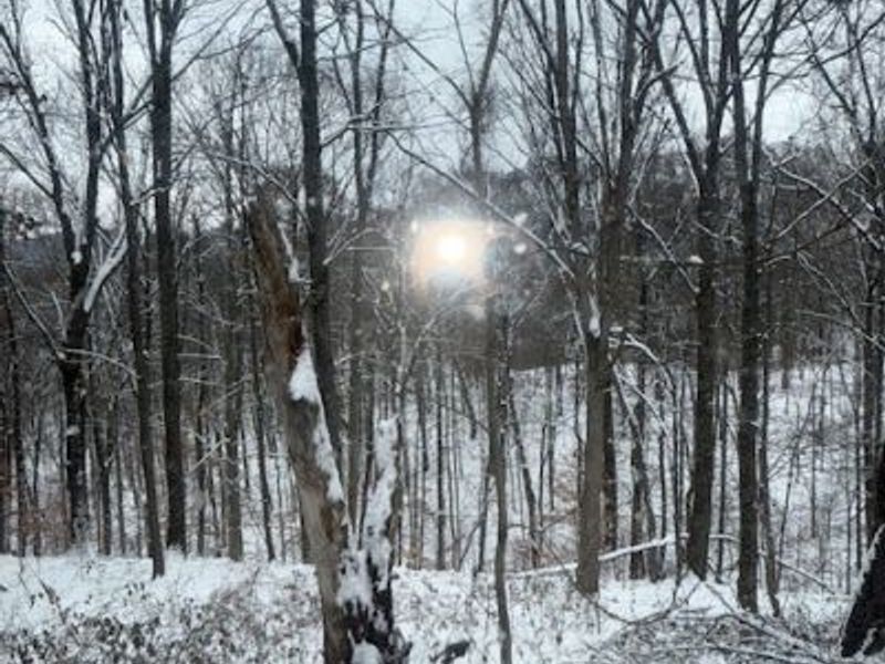 15639 SE Grove Road SE, Port Washington, OH 43837 Photo 15