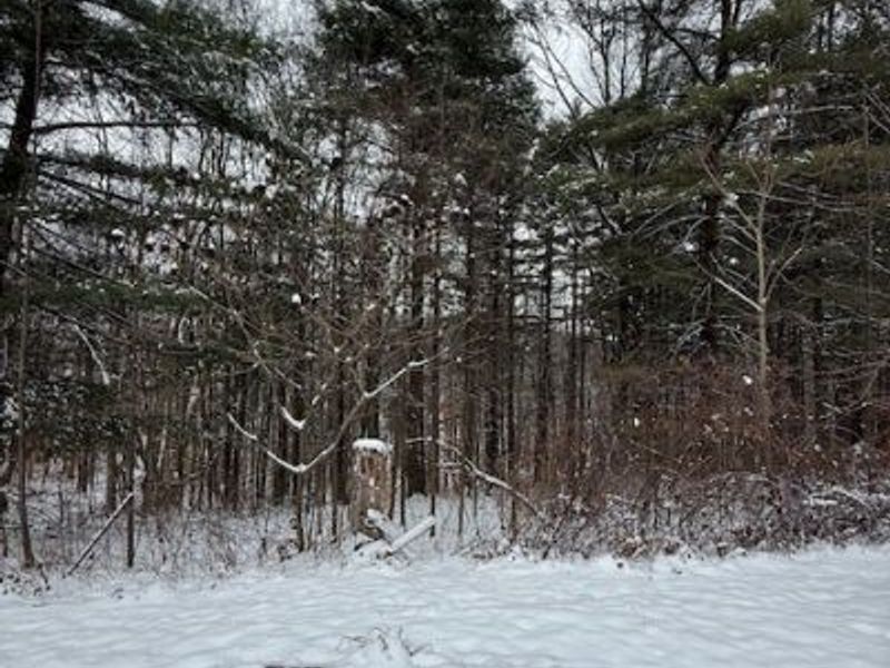 15639 SE Grove Road SE, Port Washington, OH 43837 Photo 5