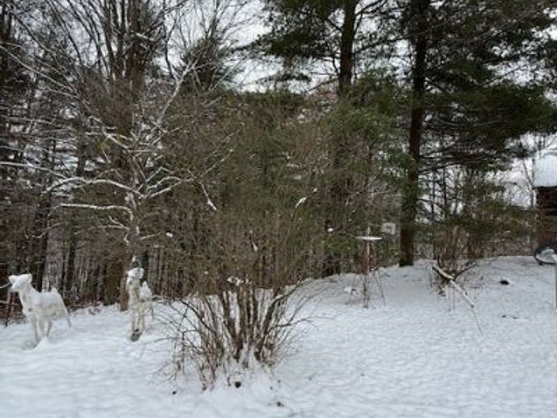 15639 SE Grove Road SE, Port Washington, OH 43837 Photo 8