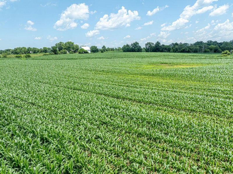 0 Lake Rd, Millersport, OH 43046 Photo 3