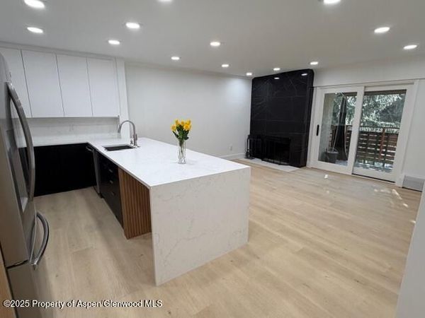 910 W Hallam Street, Unit 12, Aspen, CO 81611