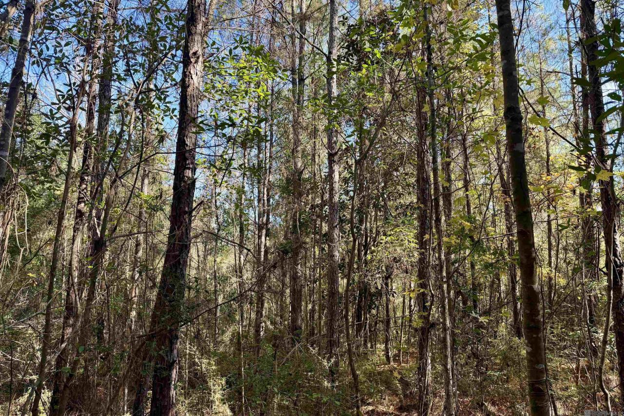 02 Hwy 1046, Amite, LA 70442 Main Photo