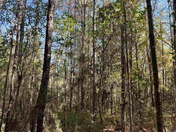 02 Hwy 1046, Amite, LA 70442