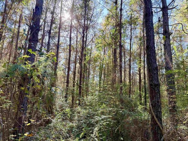 01 Bobcat Lane, Amite, LA 70422