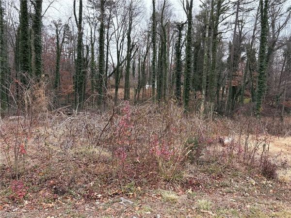 0 Chesapeake Drive , Rural Hall, NC 27054