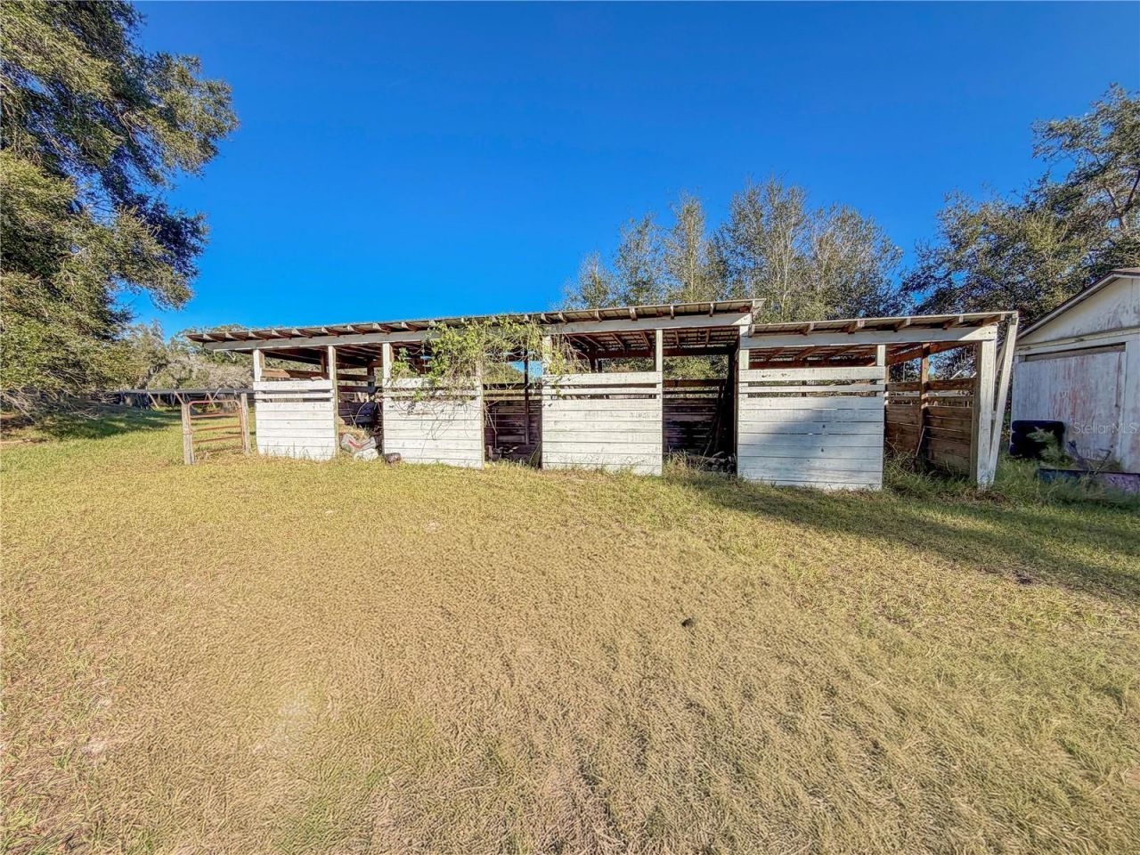 24729 Crooked Mile Road, Paisley, FL 32767 Photo