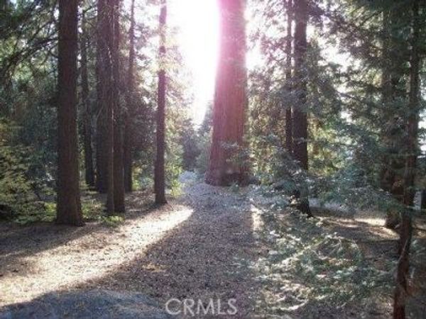 54584 Ponderosa Drive, Springville, CA 93265