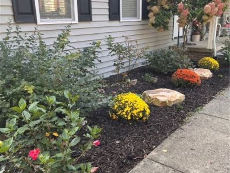 7743 Beach Road, Wadsworth, OH 44281 Photo 2