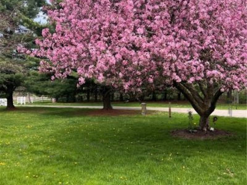 7743 Beach Road, Wadsworth, OH 44281 Photo 22