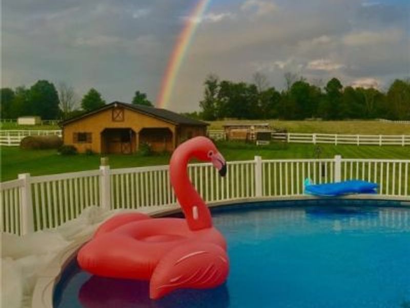 7743 Beach Road, Wadsworth, OH 44281 Photo 23