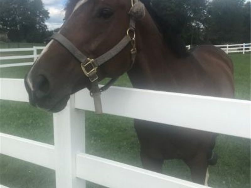 7743 Beach Road, Wadsworth, OH 44281 Photo 29