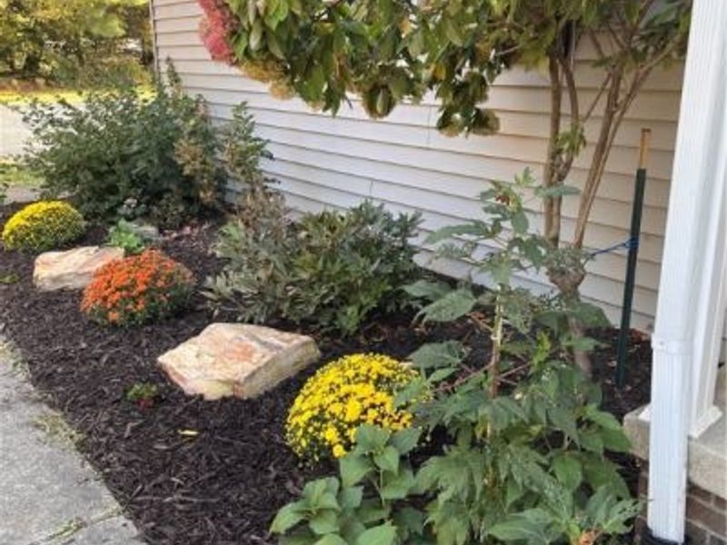 7743 Beach Road, Wadsworth, OH 44281 Photo 3