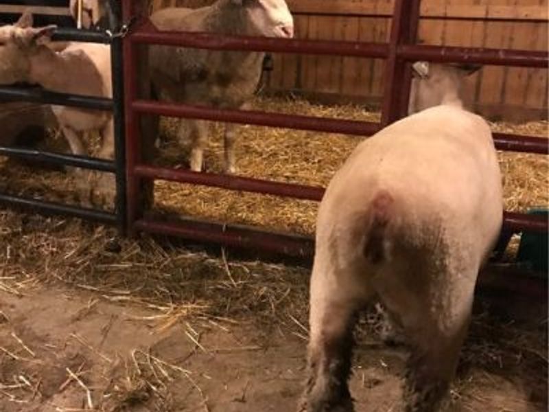 7743 Beach Road, Wadsworth, OH 44281 Photo 30