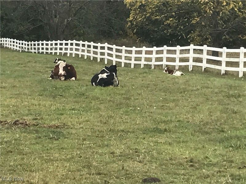 7743 Beach Road, Wadsworth, OH 44281 Photo 31