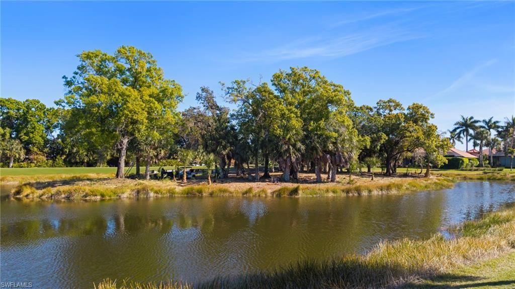19918 Markward Crossing, Estero, FL 33928 Photo