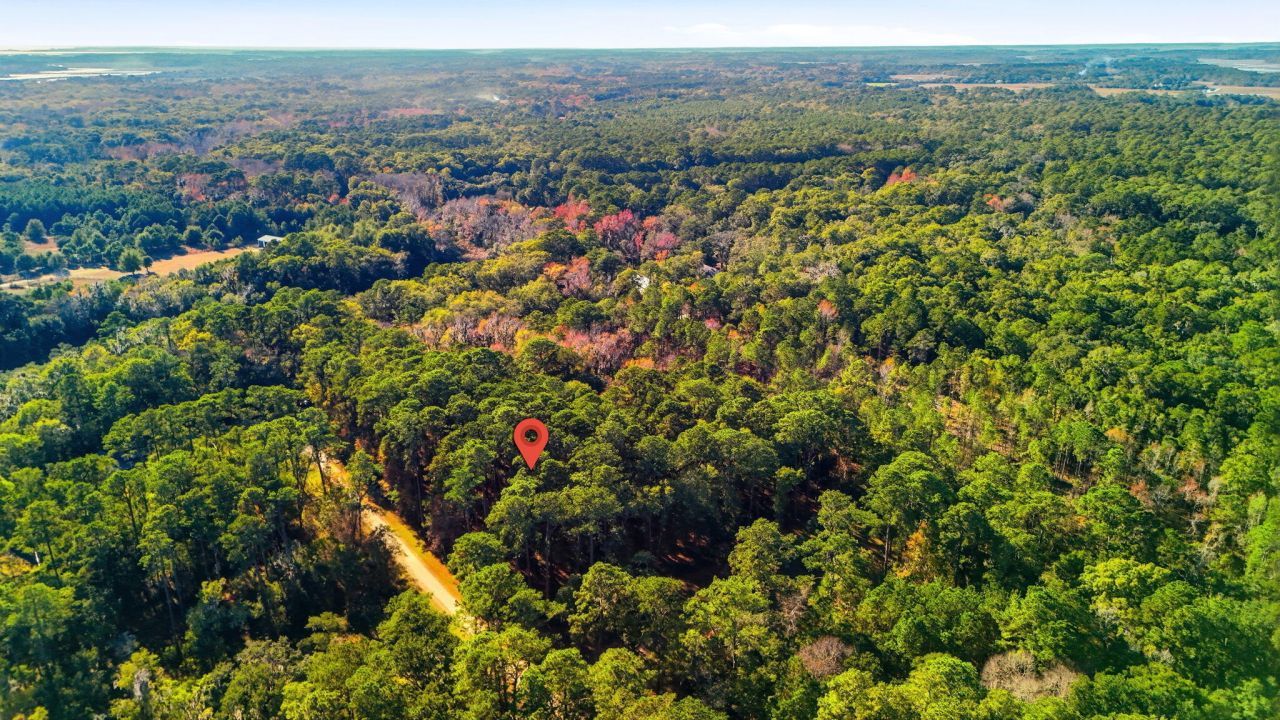 7783 Chaplin Garden Lane Photo 4