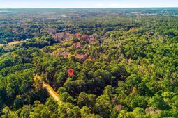 7783 Chaplin Garden Lane photo 4