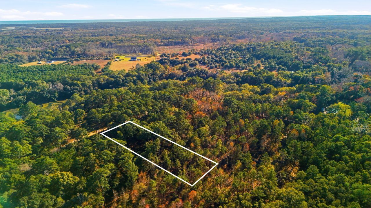 7783 Chaplin Garden Lane Photo 6