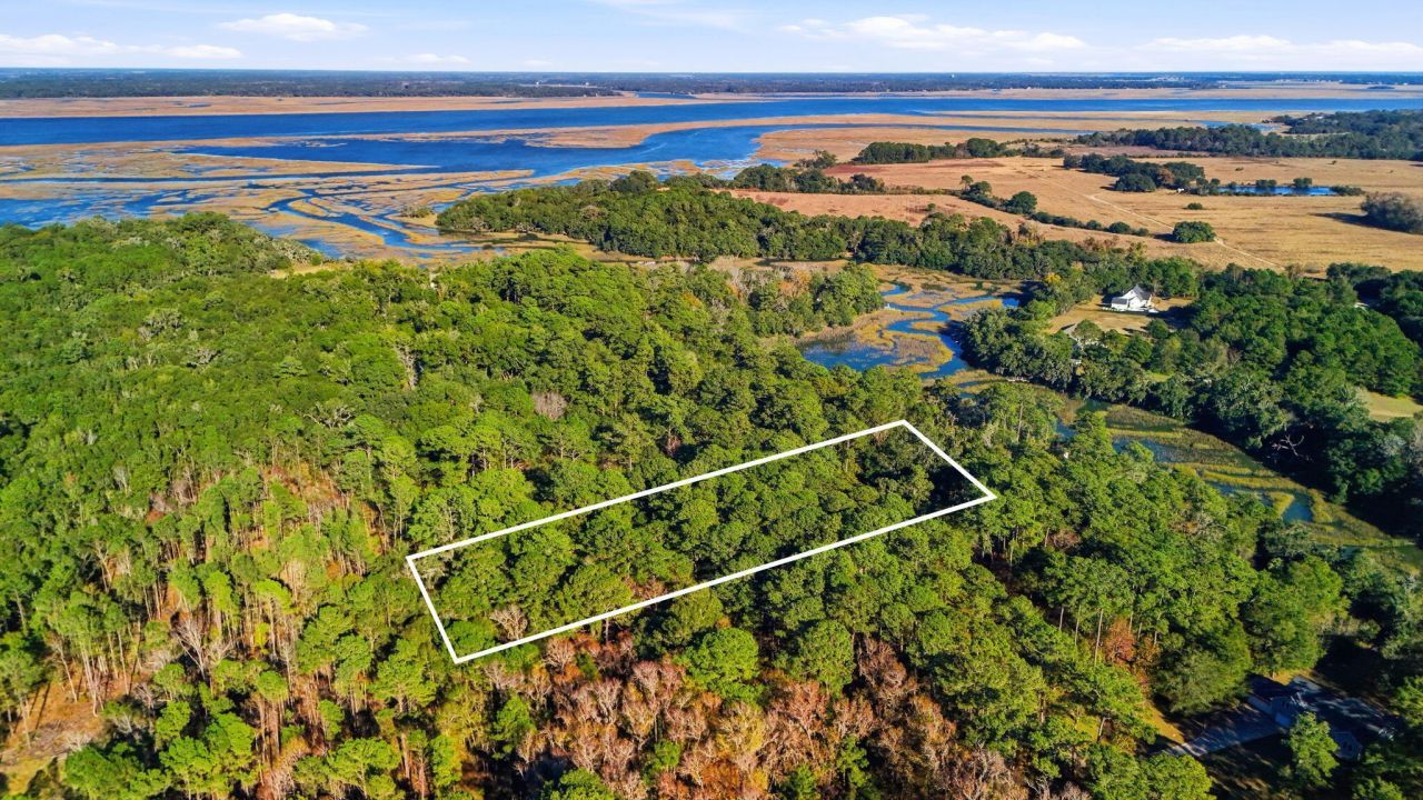 7783 Chaplin Garden Lane Photo 8