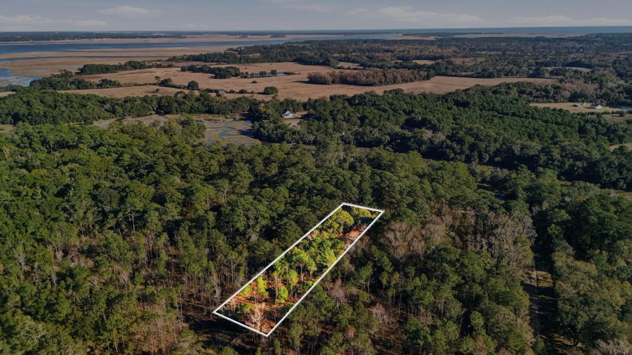 7787 Chaplin Garden Lane Photo 10