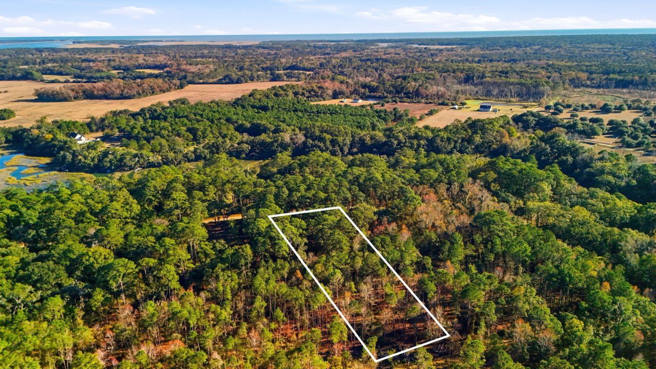 7787 Chaplin Garden Lane Photo 12