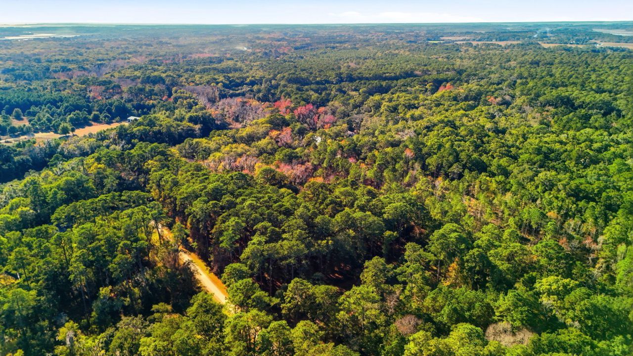 7787 Chaplin Garden Lane Photo 13