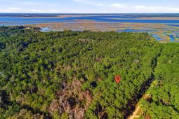 7787 Chaplin Garden Lane photo 4