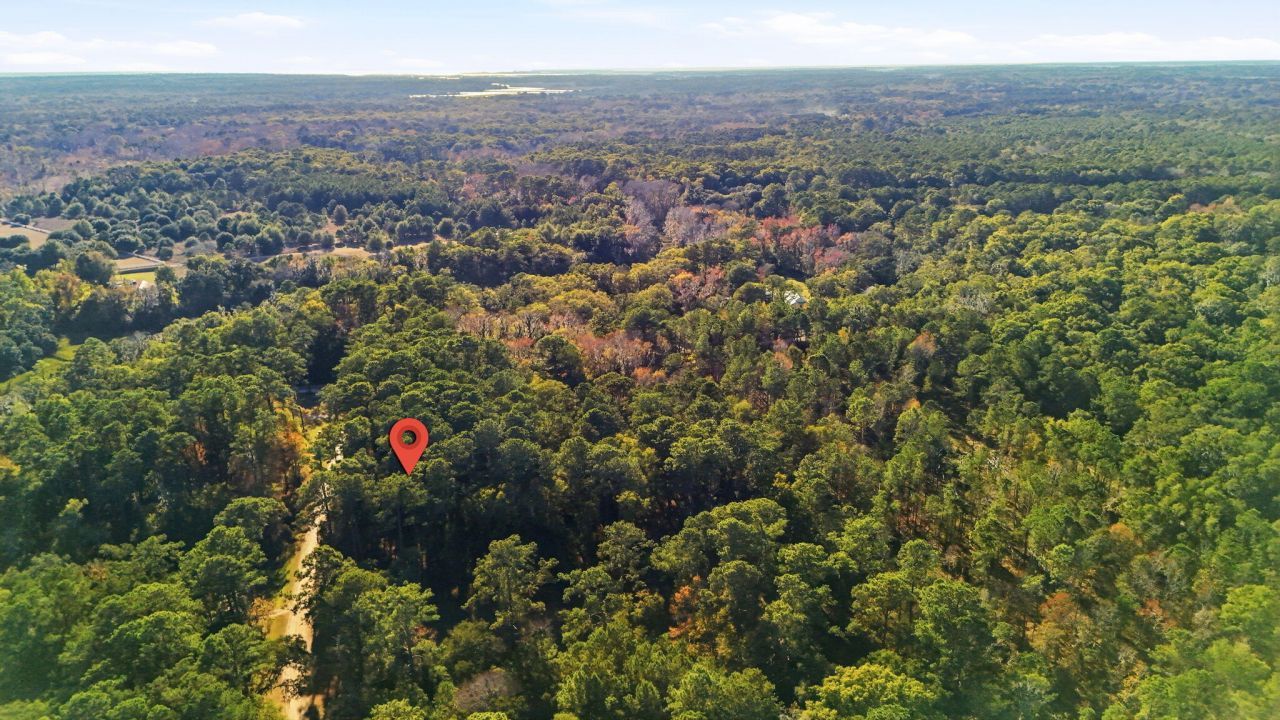 7787 Chaplin Garden Lane Photo 4