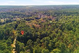 7787 Chaplin Garden Lane photo 4