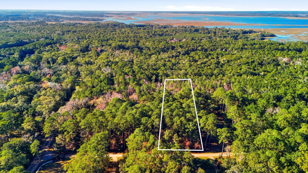 7787 Chaplin Garden Lane Photo 5