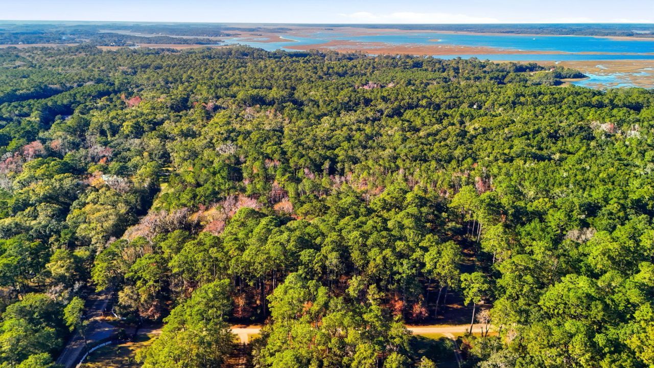 7787 Chaplin Garden Lane Photo 6