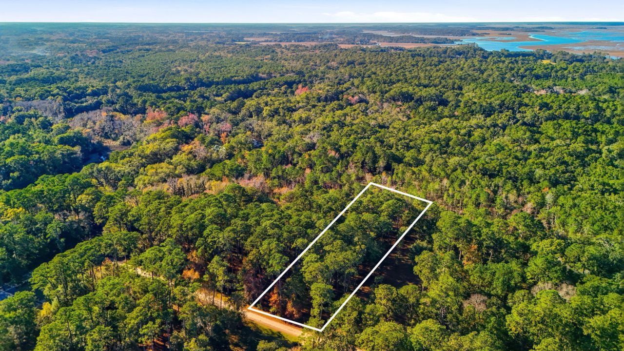 7787 Chaplin Garden Lane Photo 7