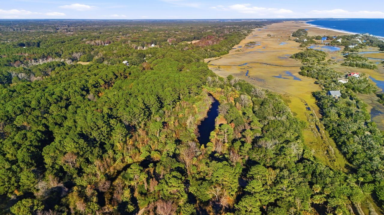 711 Jan Savage Way Photo 4