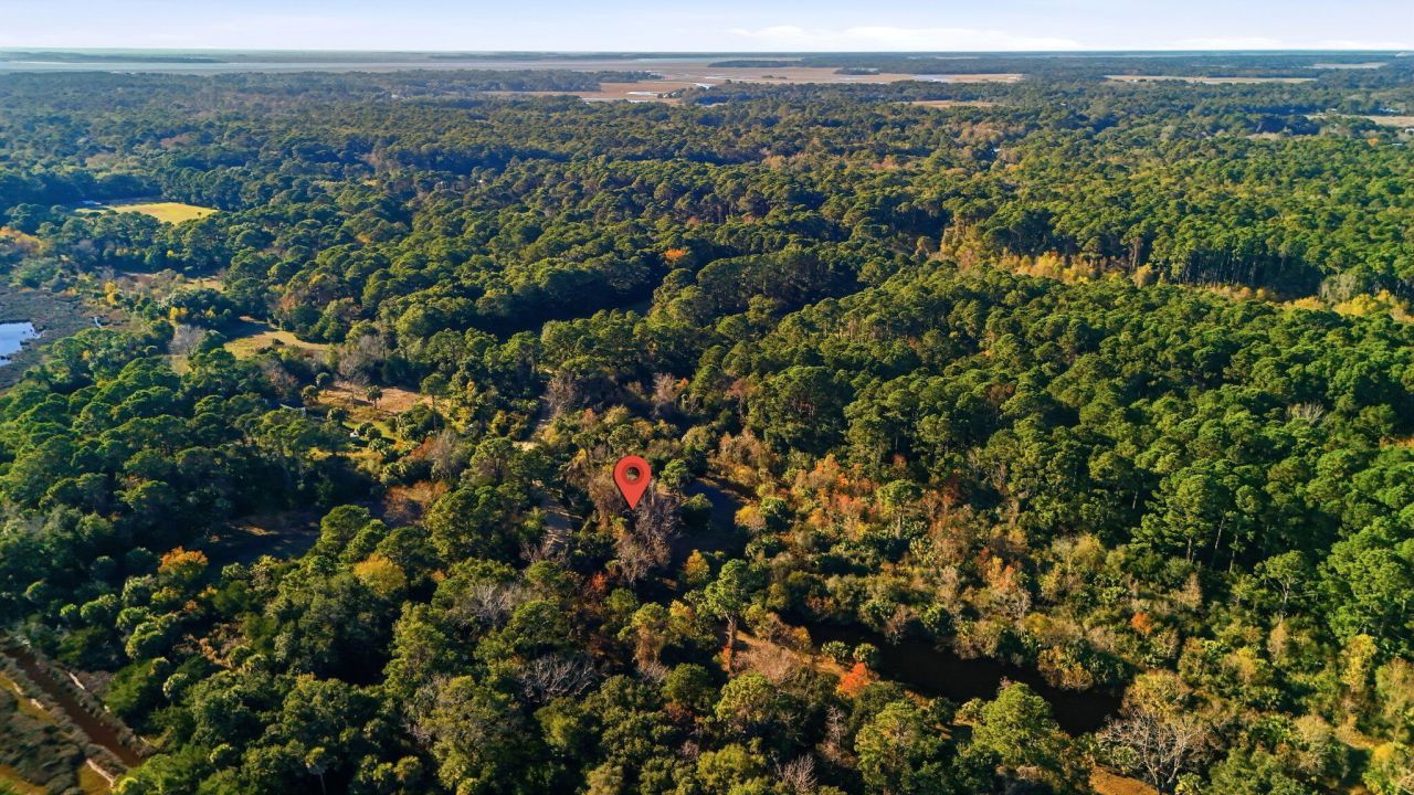 711 Jan Savage Way Photo 5