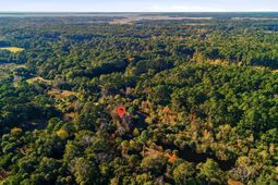 711 Jan Savage Way photo 4