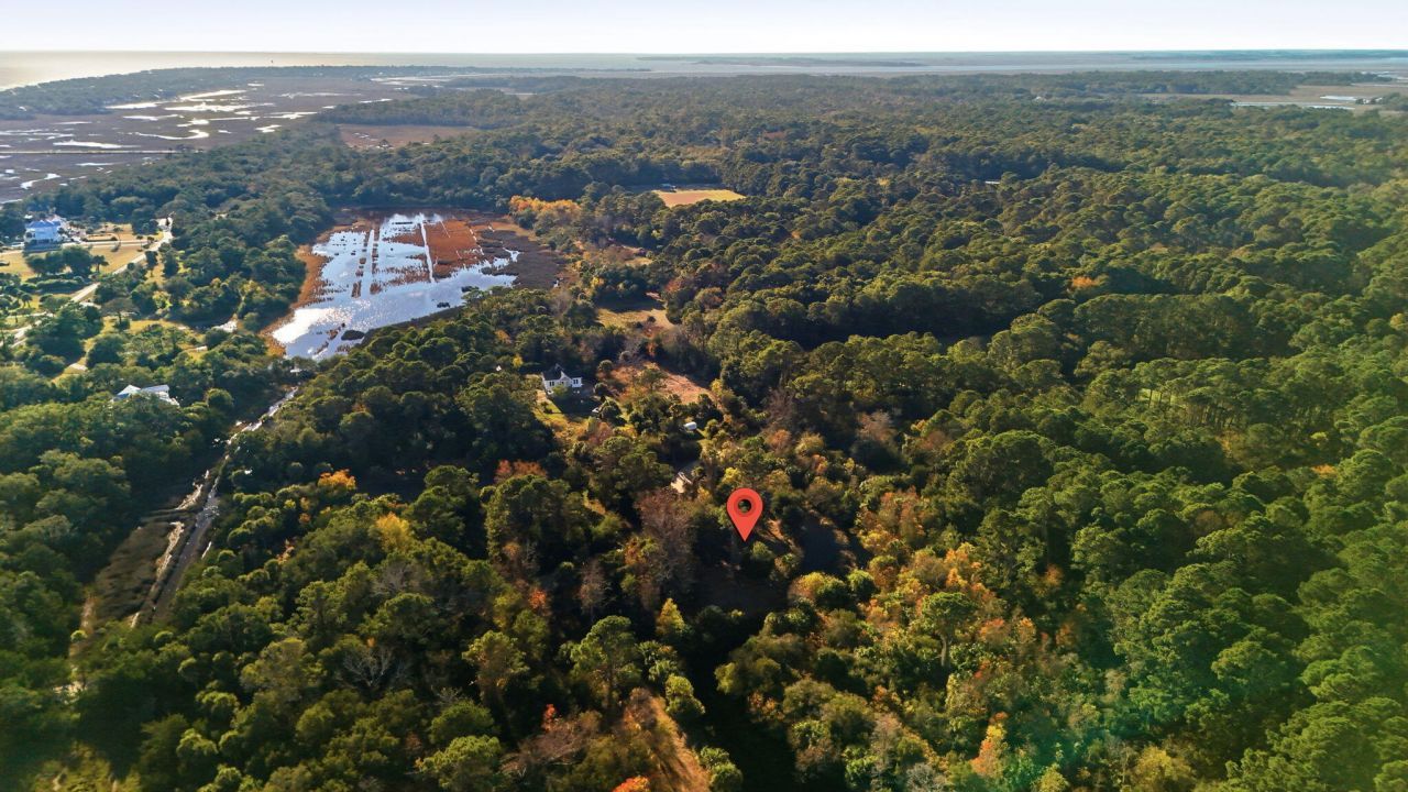 711 Jan Savage Way Photo 8